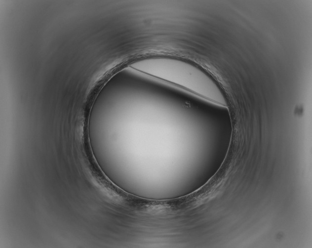 X0000091510446200708170952