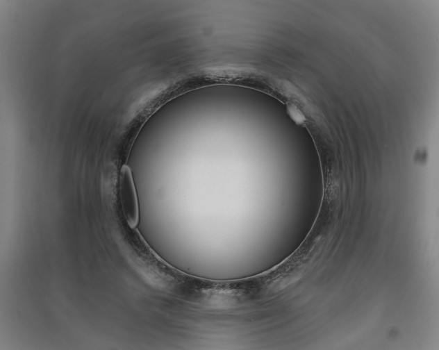 X0000091510448200708170952