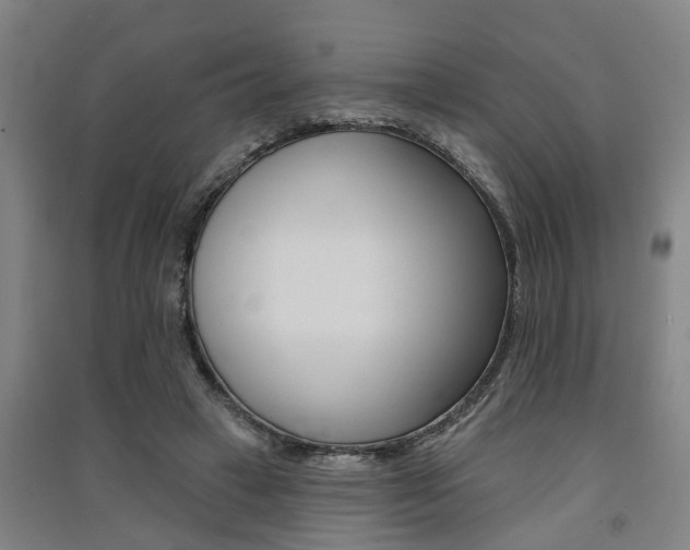 X0000091510449200708170952