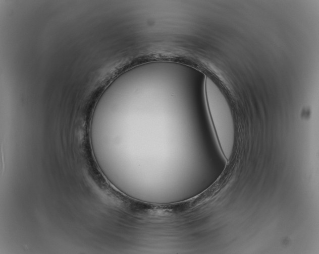 X0000091510451200708170952