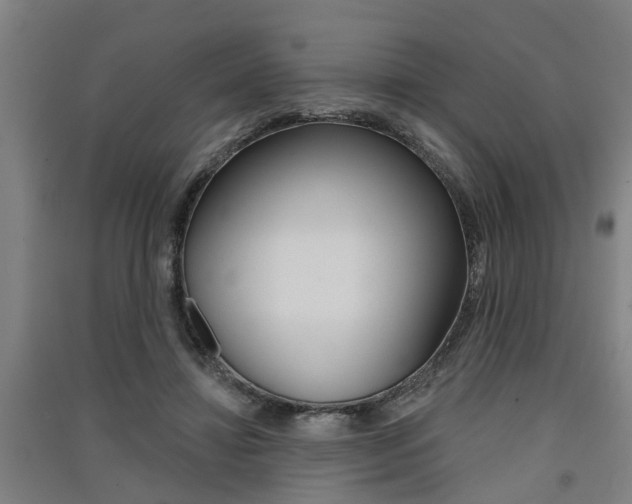 X0000091510452200708170952