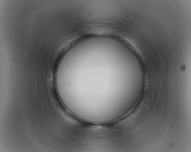 X0000091510453200708170952