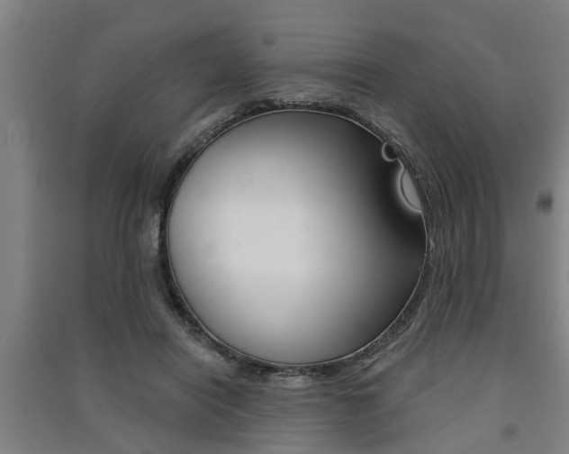 X0000091510454200708170952
