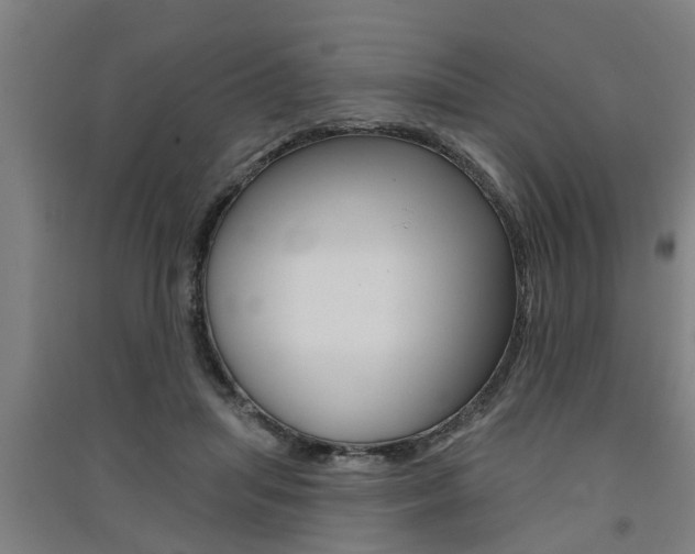 X0000091510455200708170952