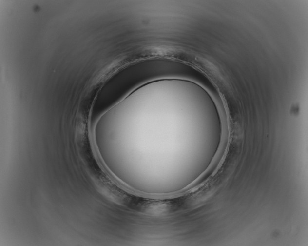 X0000091510456200708170952