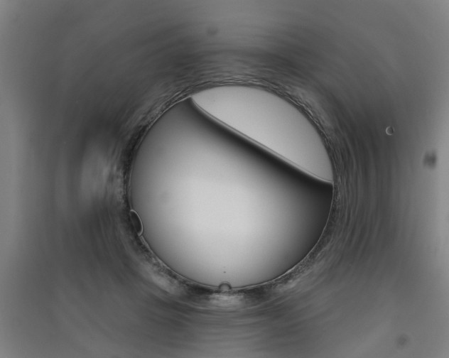 X0000091510457200708170952
