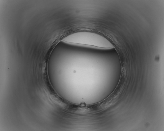 X0000091510458200708170953