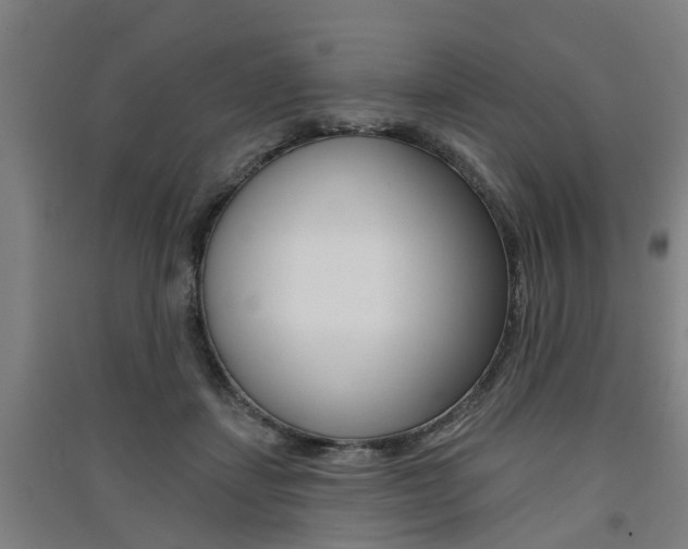 X0000091510459200708170953