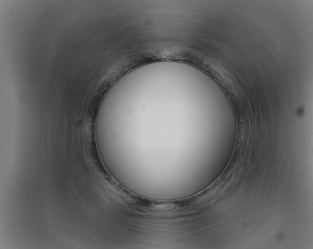 X0000091510461200708170953