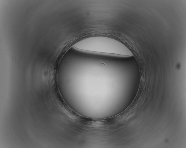 X0000091510462200708170953