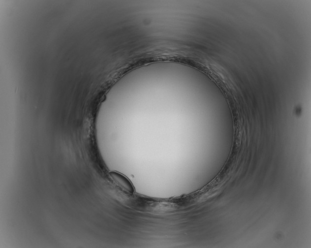 X0000091510463200708170953