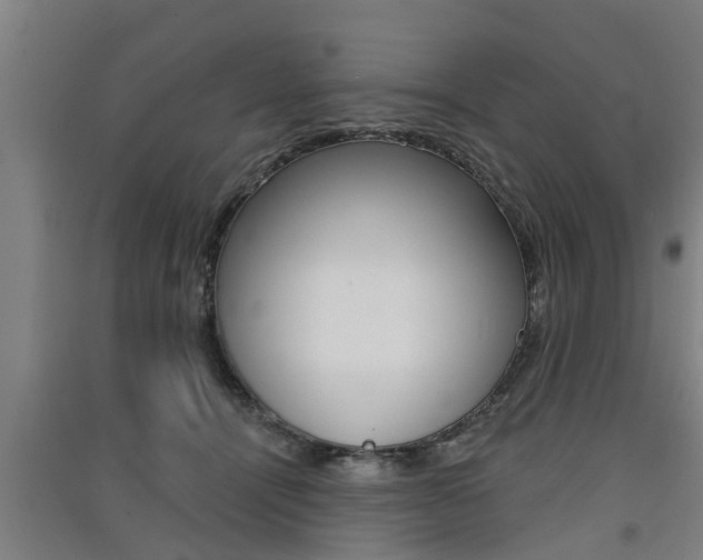 X0000091510464200708170953