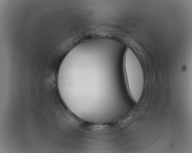X0000091510465200708170953