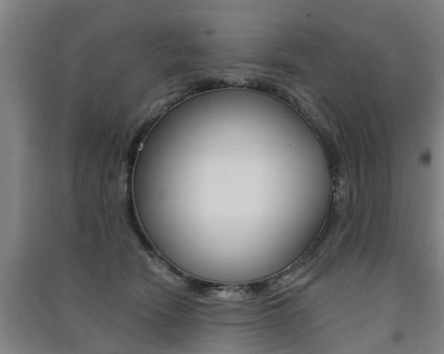 X0000091510466200708170953