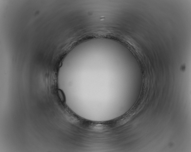 X0000091510467200708170953