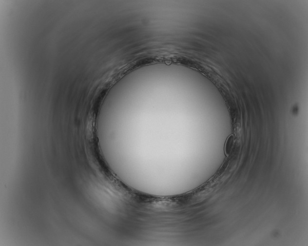 X0000091510468200708170953