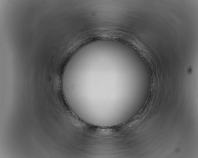 X0000091510469200708170953