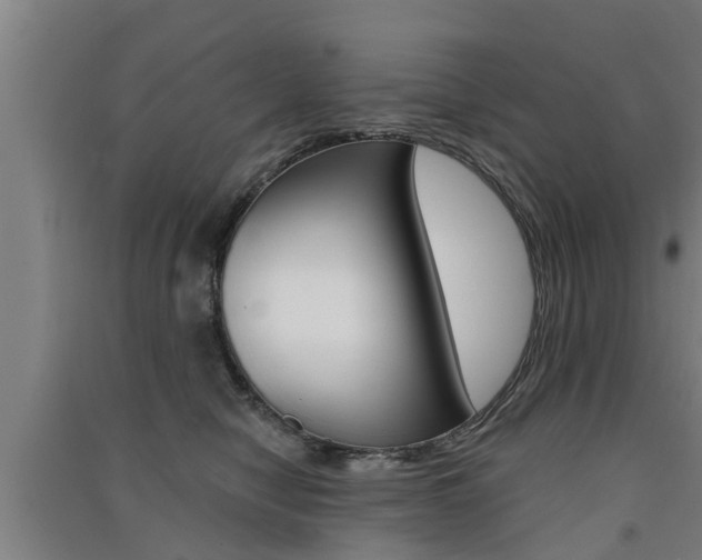X0000091510470200708170953