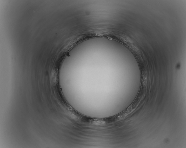 X0000091510471200708170953