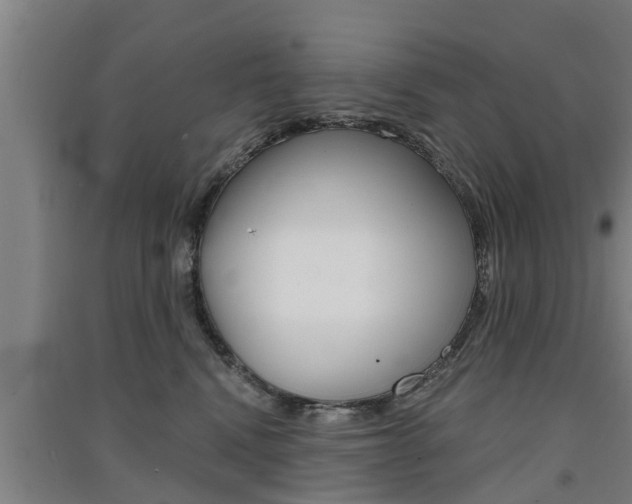 X0000091510472200708170953
