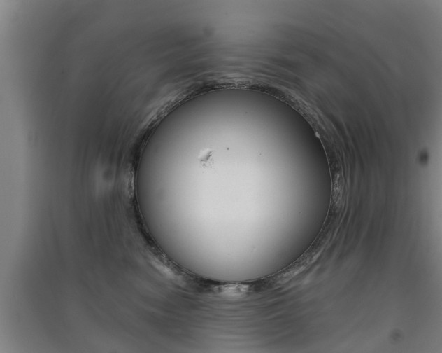 X0000091510474200708170953