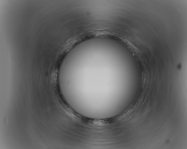 X0000091510475200708170953