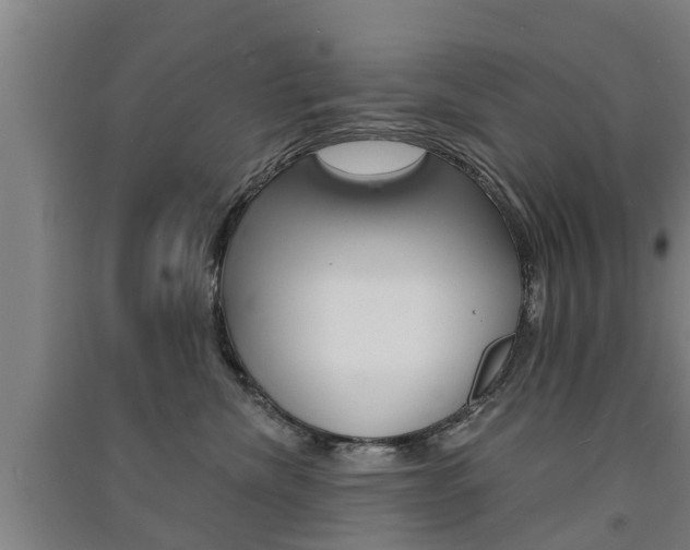 X0000091510476200708170953