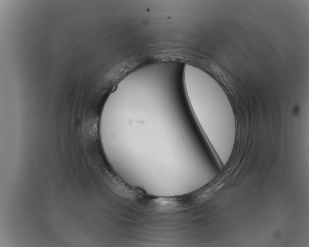 X0000091510477200708170953