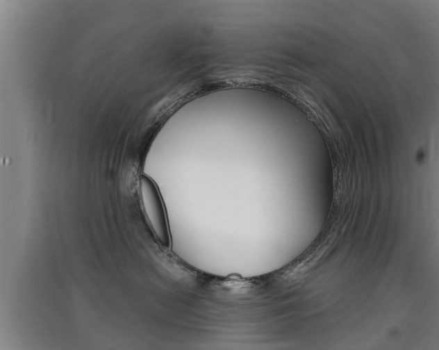 X0000091510478200708170953