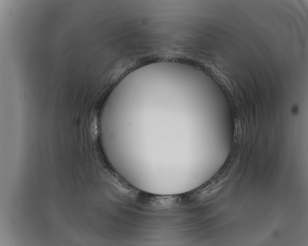 X0000091510479200708170953