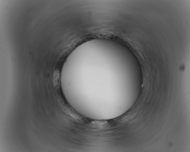 X0000091510480200708170953