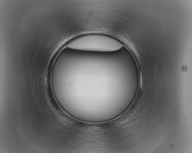 X0000091510483200708170952