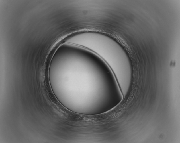X0000091510484200708170952