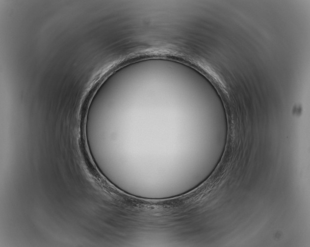 X0000091510486200708170952