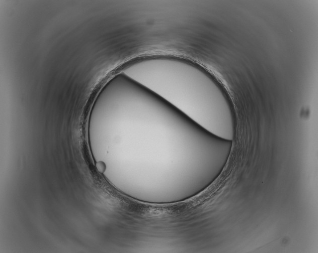 X0000091510487200708170952