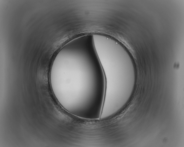 X0000091510489200708170952