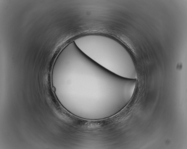 X0000091510491200708170952