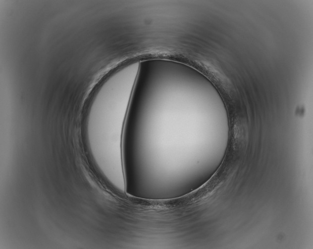 X0000091510492200708170952