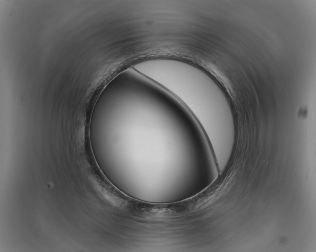 X0000091510493200708170952