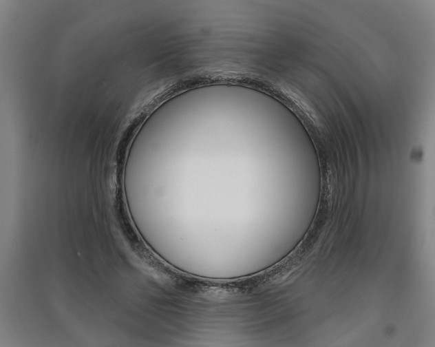 X0000091510494200708170952