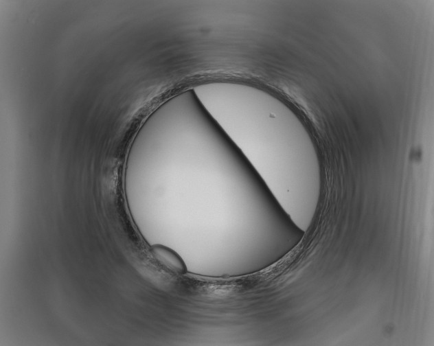 X0000091510495200708170952