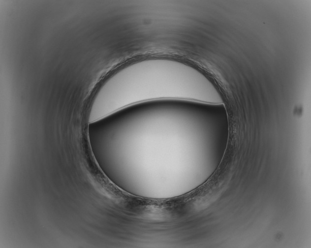 X0000091510496200708170952