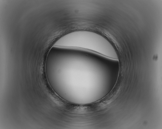 X0000091510497200708170952