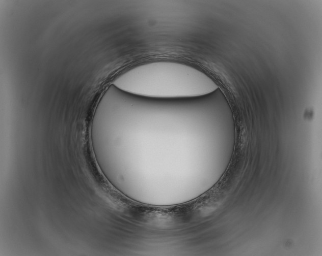 X0000091510498200708170952