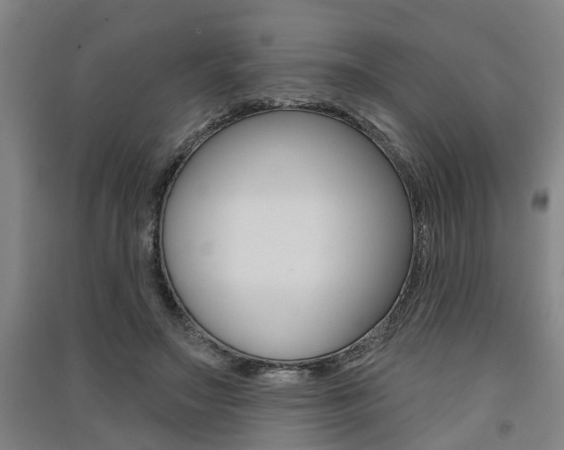 X0000091510499200708170952