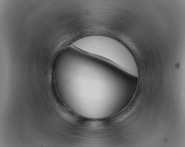 X0000091510501200708170952