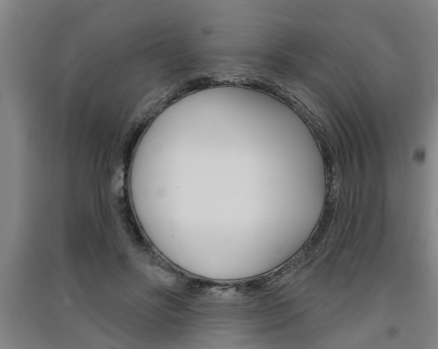 X0000091510502200708170952