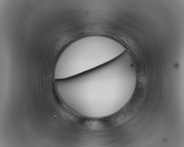 X0000091510503200708170952