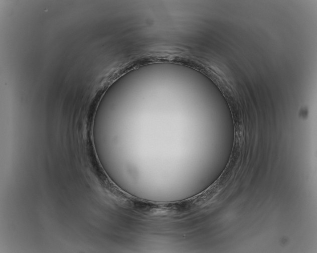 X0000091510504200708170952