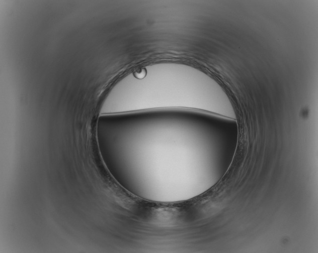 X0000091510508200708170952